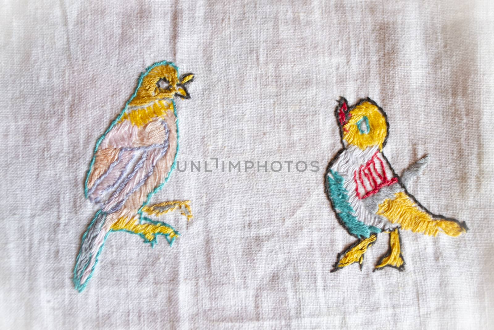 nightingale hand made embroidered smooth decoration on white fabric , vintage folk embroidery in Belarus, second half of 19 century