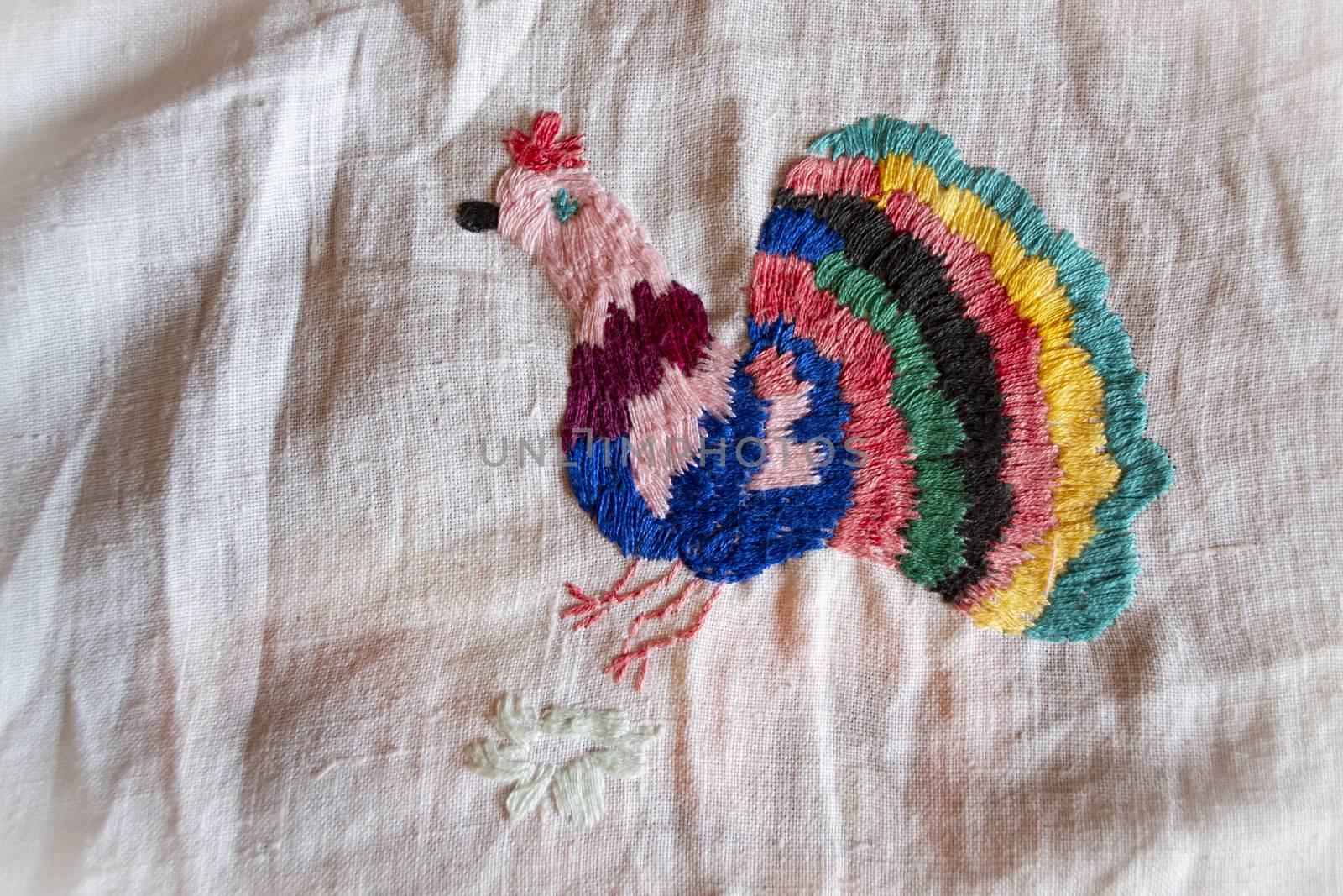 colorful peacock hand made embroidered smooth decoration on white fabric , vintage folk embroidery in Belarus, second half of 19 century