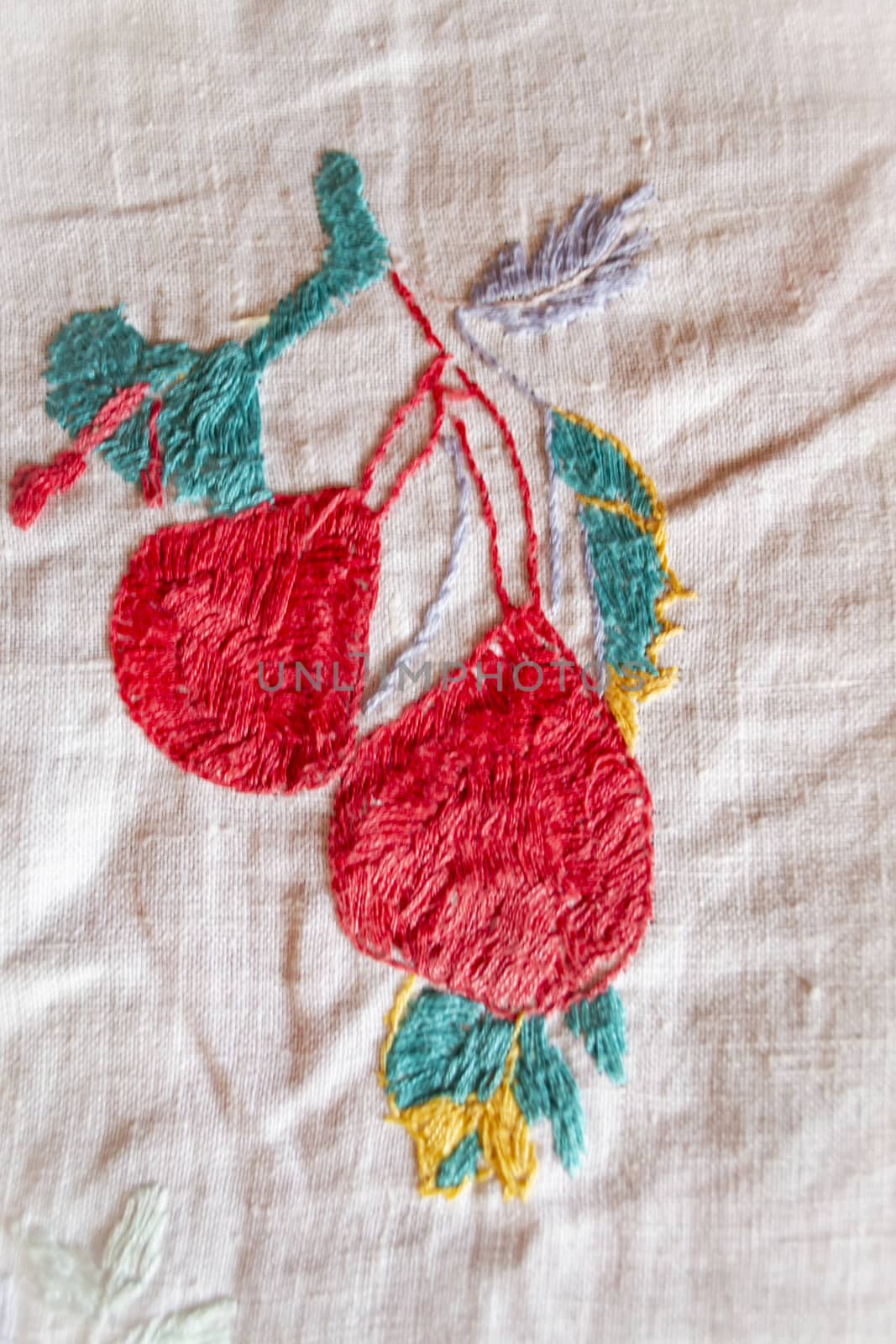 branch hand made embroidered smooth decoration on white fabric , vintage folk embroidery in Belarus, second half of 19 century
