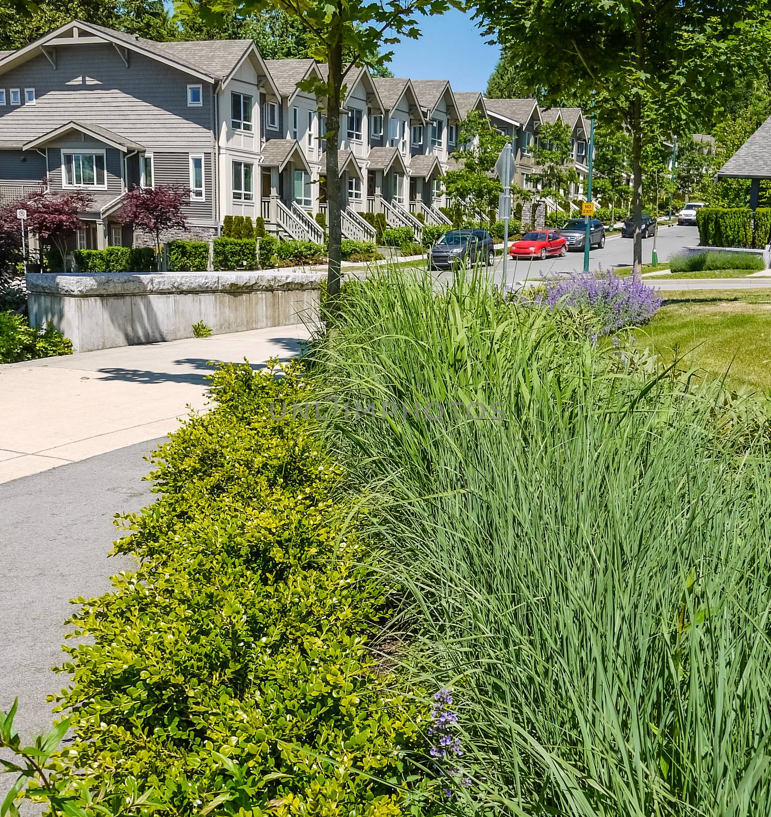 Decorated walkway leading to the complex of townhouses