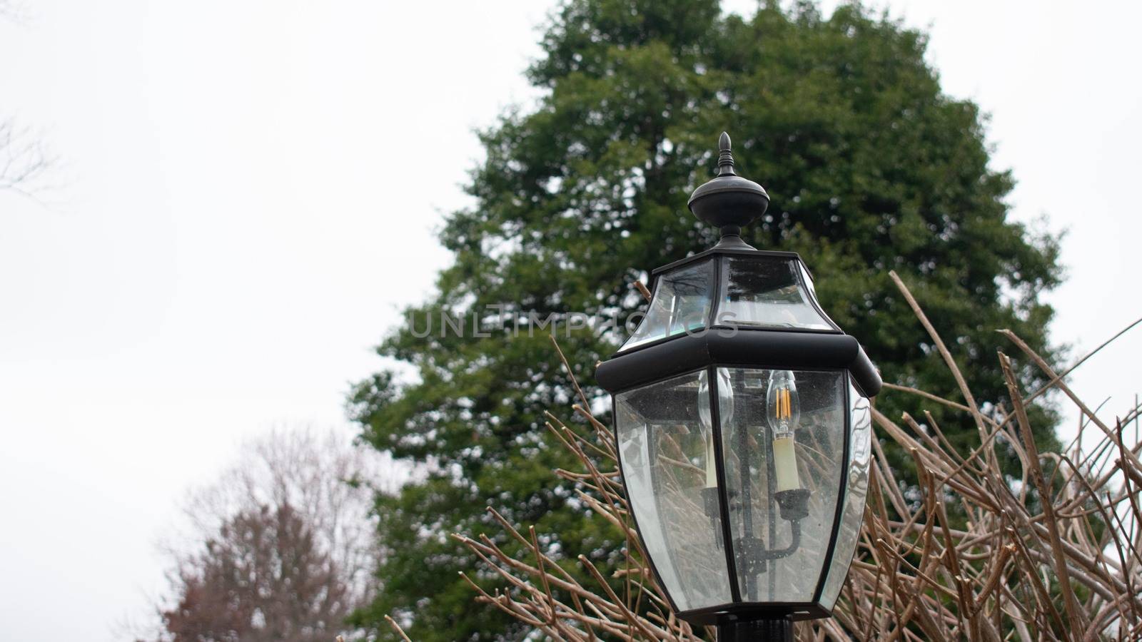 A Black Metal Light Post On a Gray Cloudy Sky With a Tree Behind It