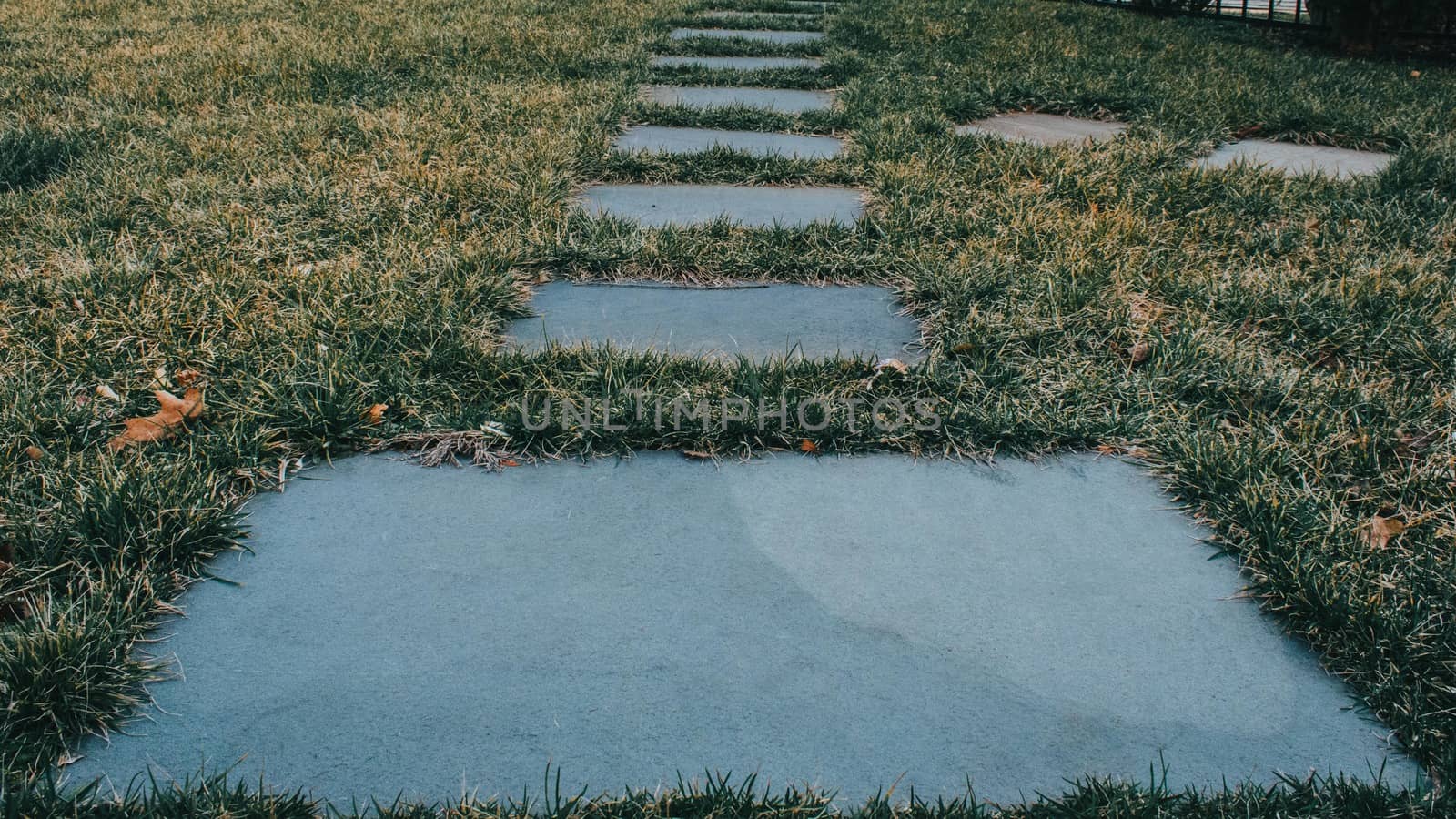 A Pathway of Blue Stones in a Grass Field Leading To the Top of the Frame