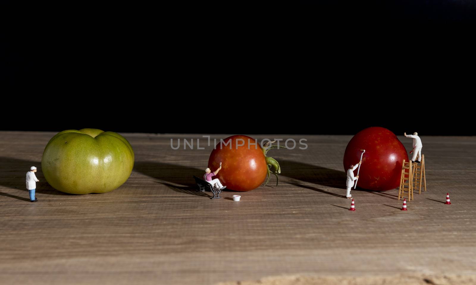 little world figures painting the green tomatoes red so they are ready to eat