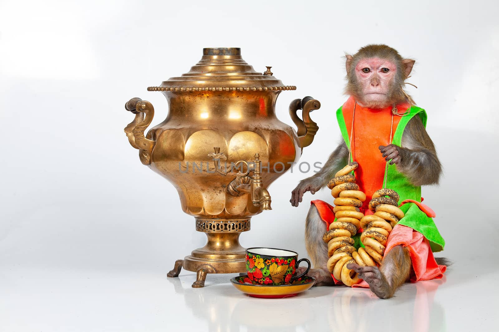 Monkey sitting near Russian water boiler