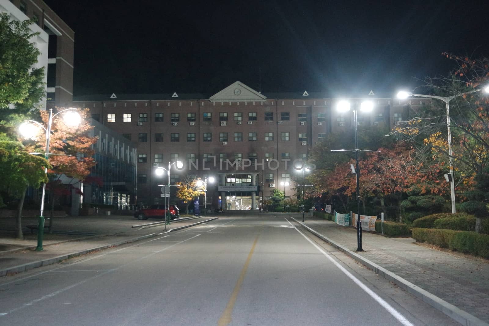 Night view of a paved pedestrian way or walk way with trees on sides for public walk