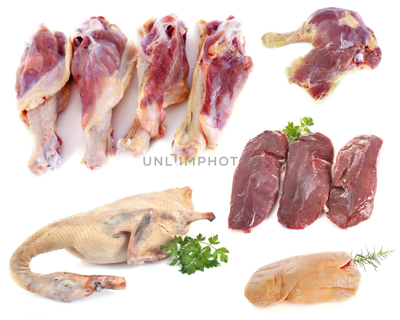 group of duck meat by cynoclub