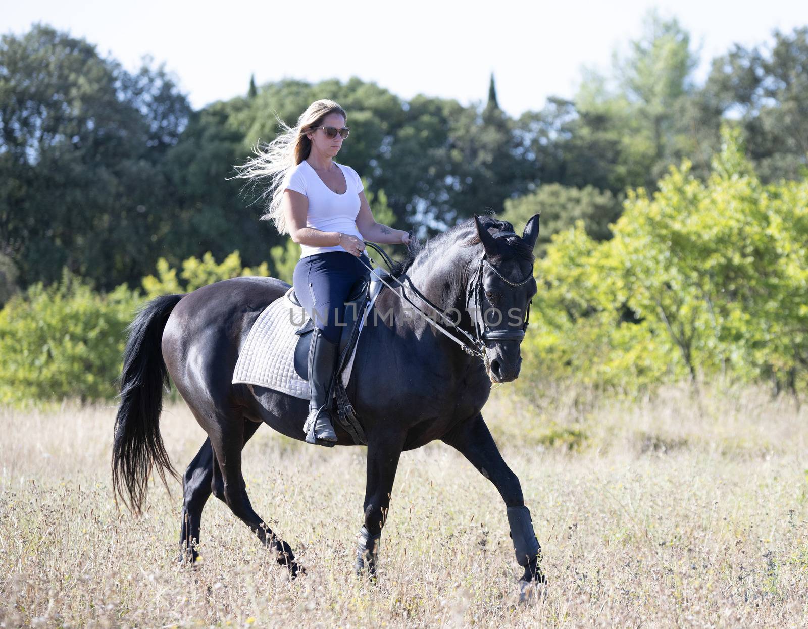  riding girl are training her black horse