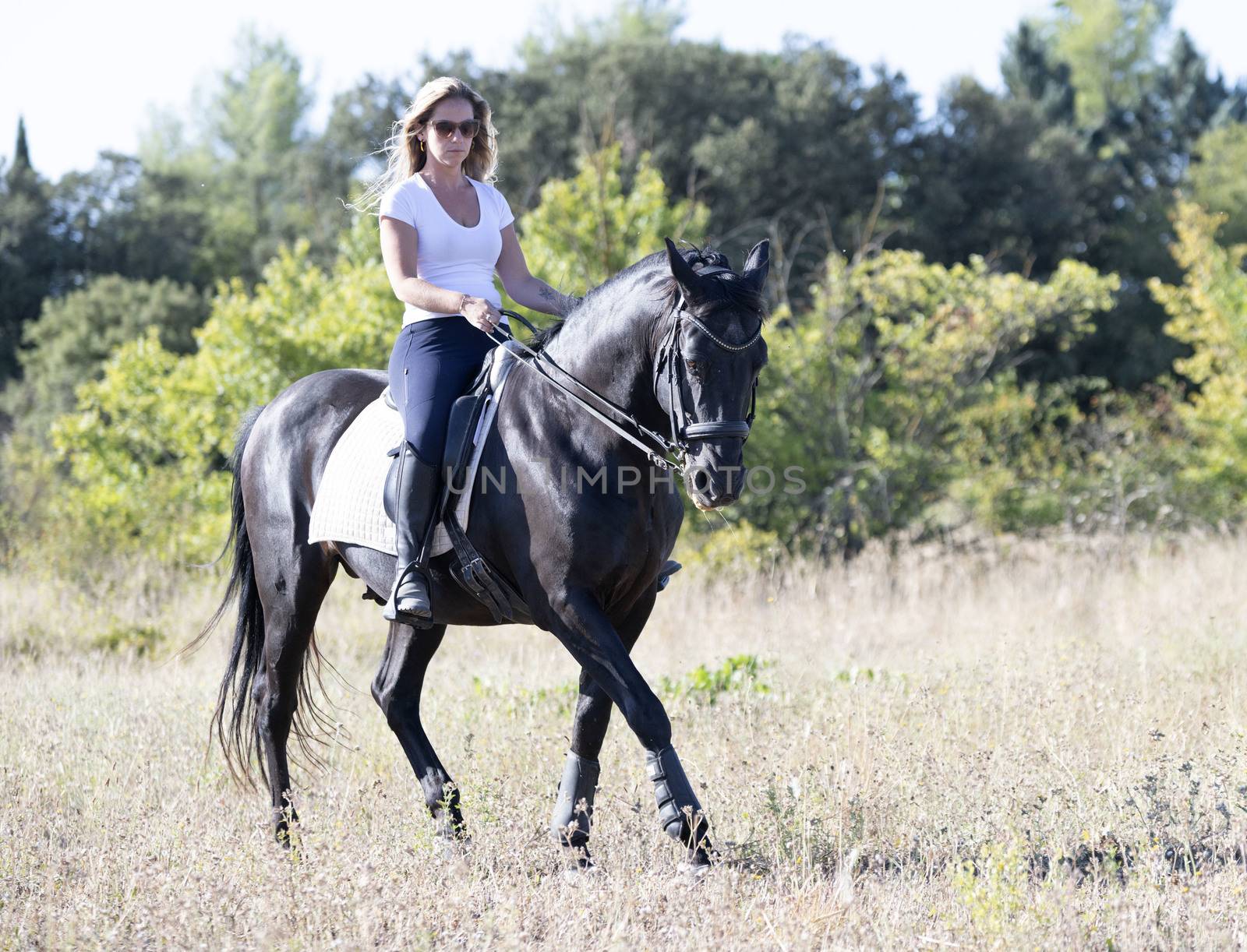  riding girl are training her black horse