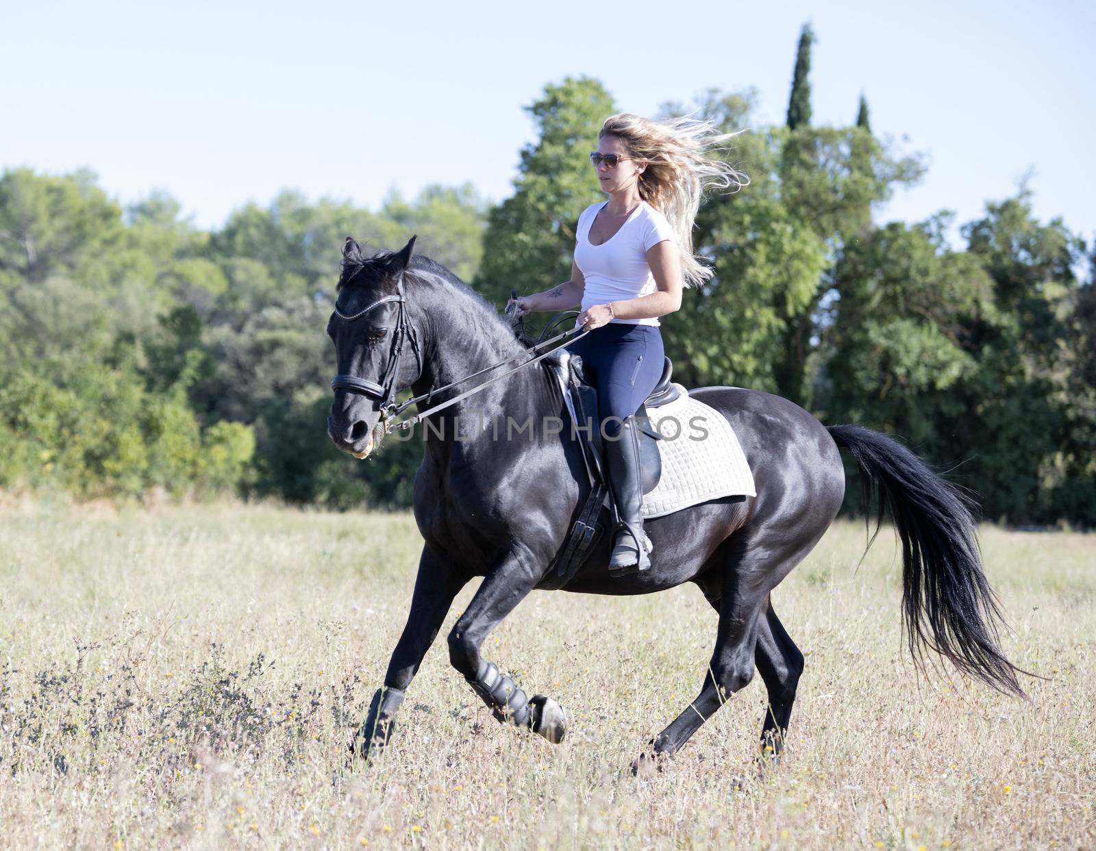  riding girl are training her black horse