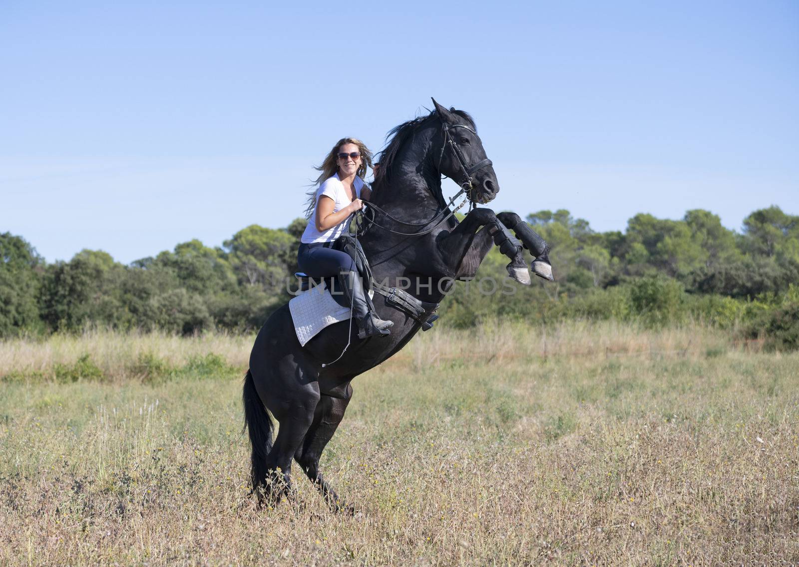  riding girl are training her black horse