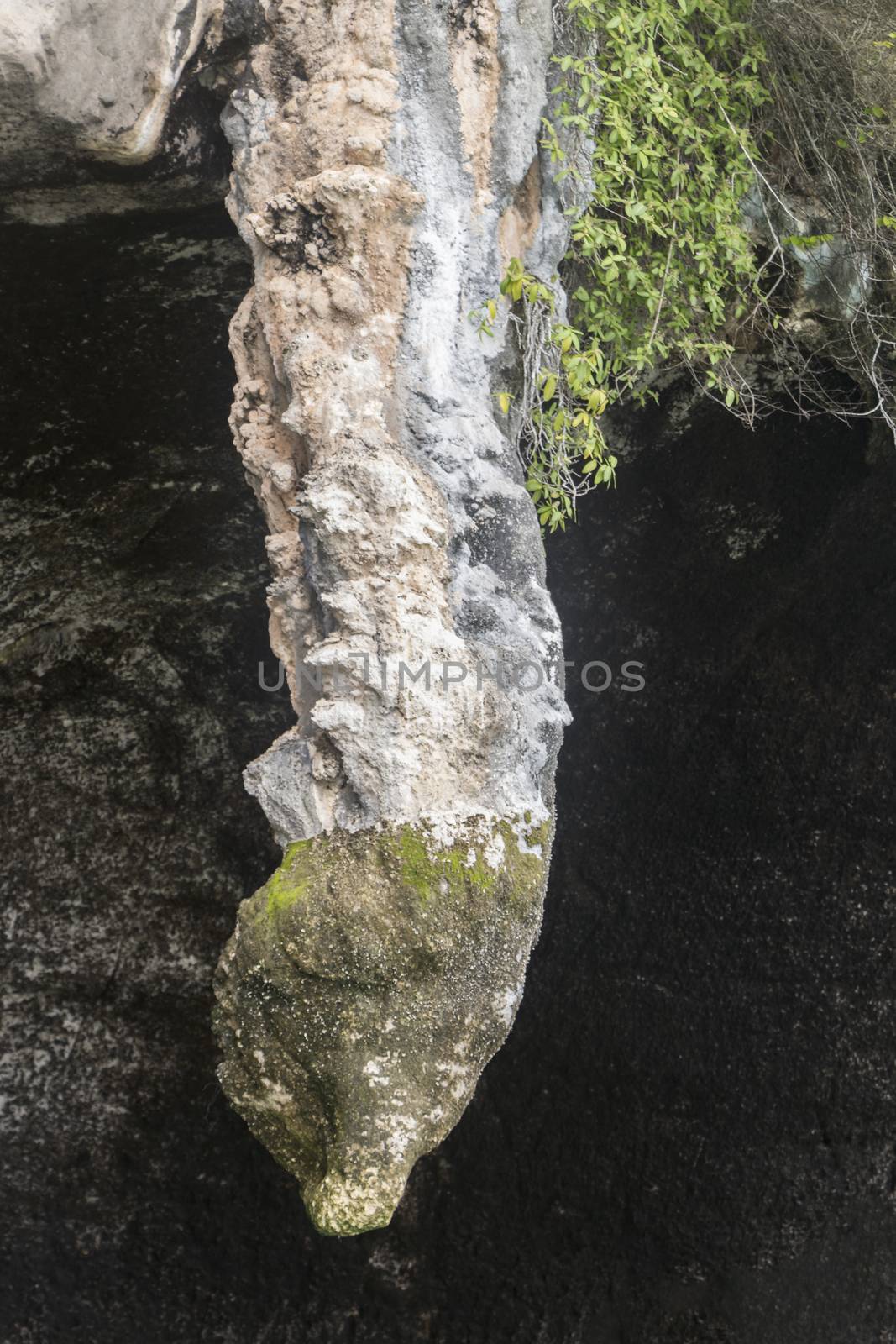 Stone like cock dick penis, cave Ko Hong island, Thailand. by Arkadij