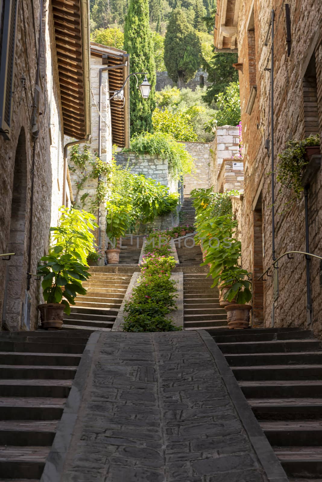 architecture of streets and buildings in the town of gubbio by carfedeph