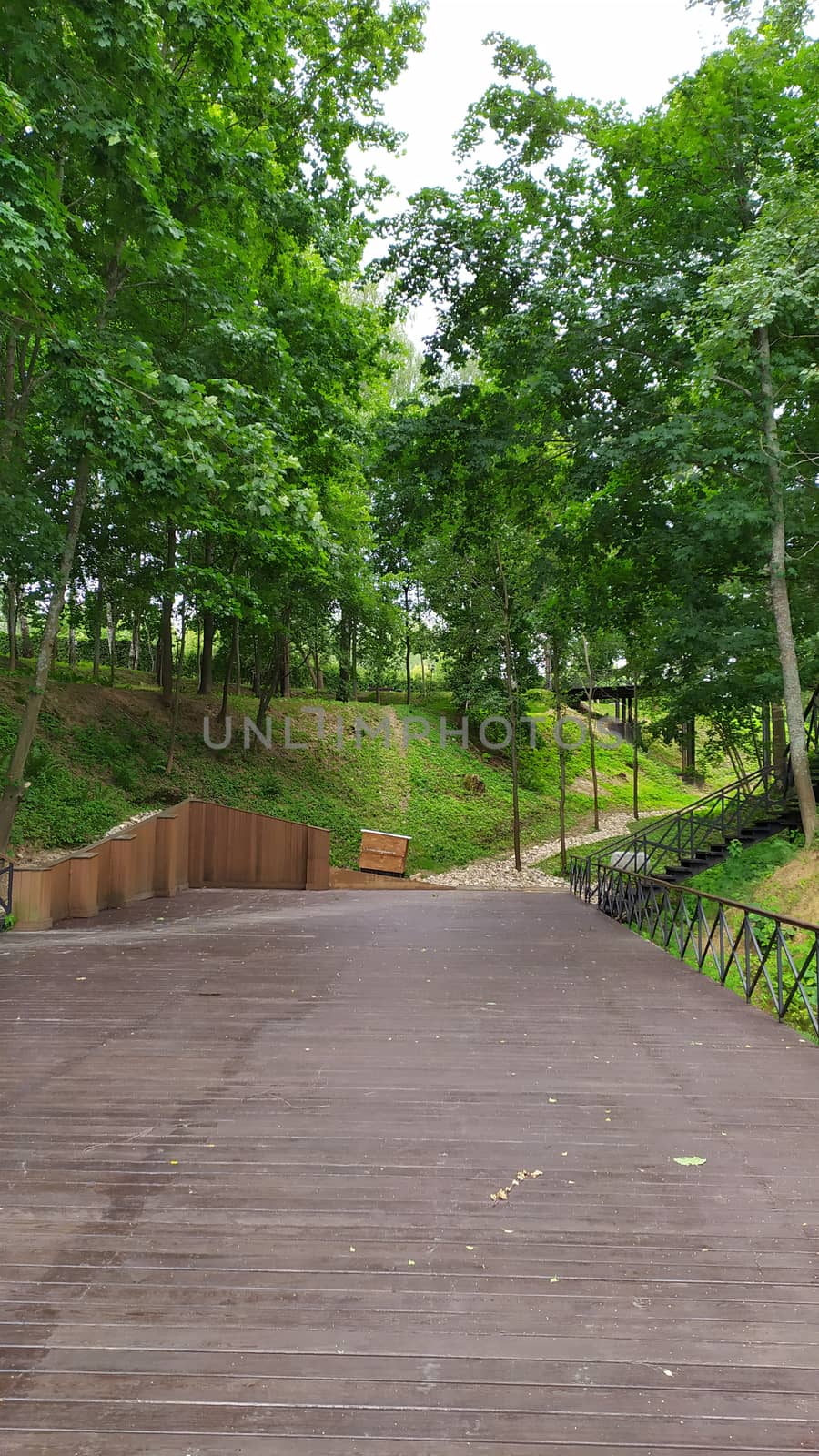 Wooden bridge in a beautiful green forest by marynkin