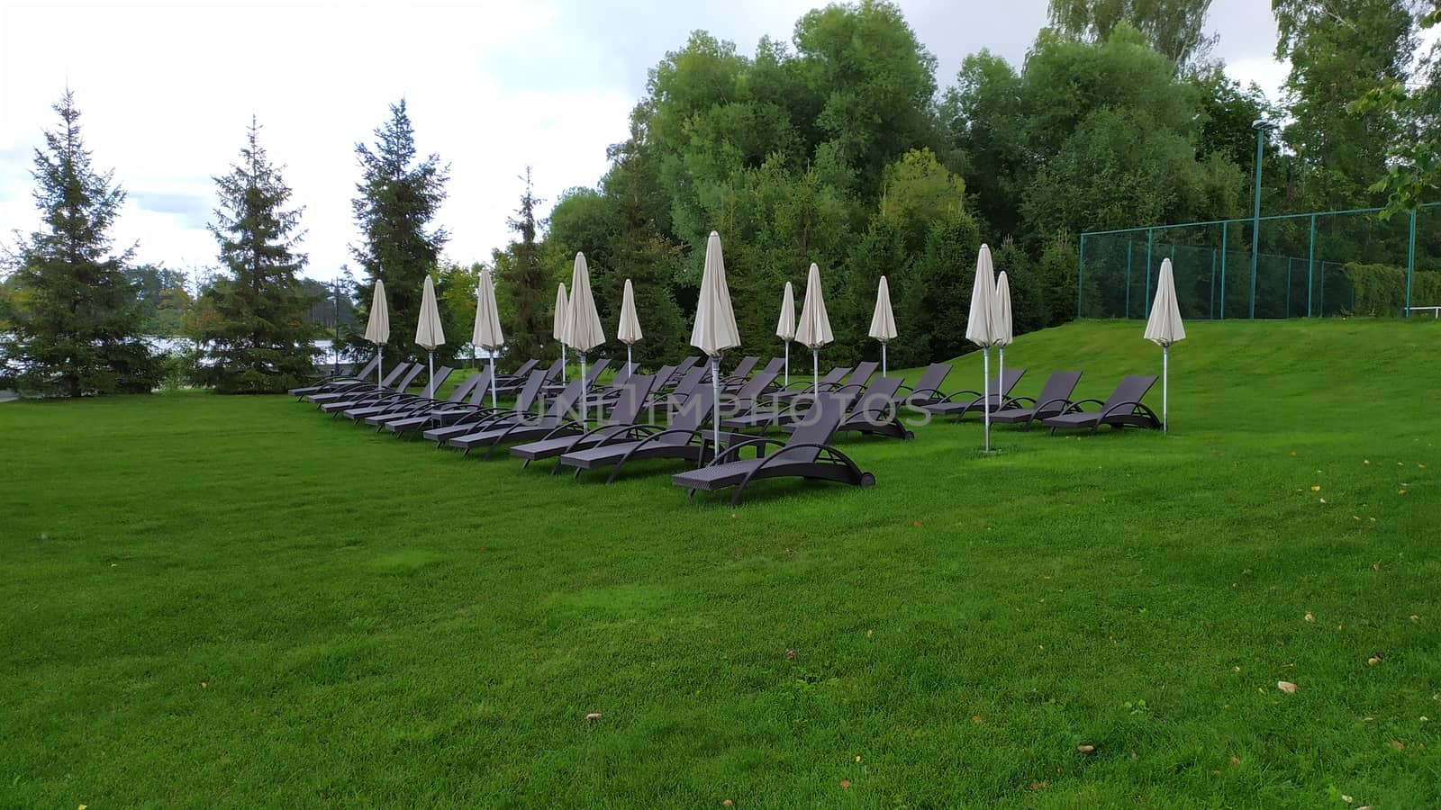 Wooden deck chairs on the green grass.