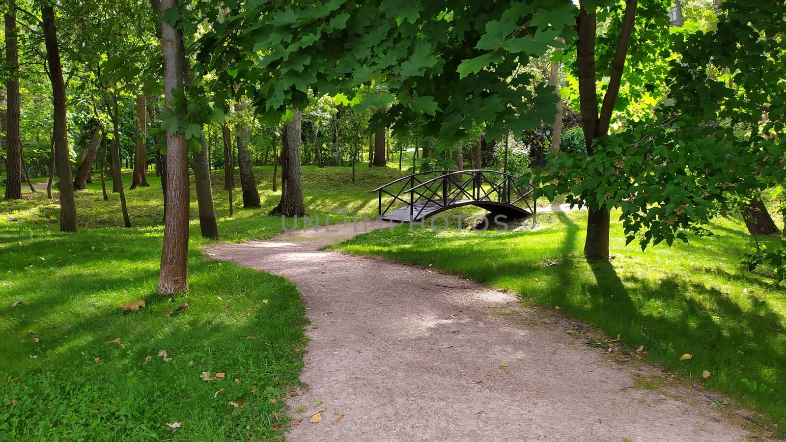 Gravel path in green summer forest leading to a wooden bridge by marynkin