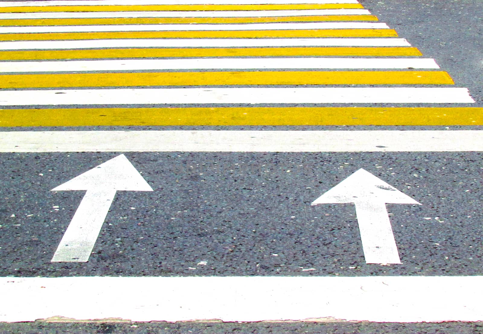 Crosswalk. Zebra. Lined color. by Grishakov