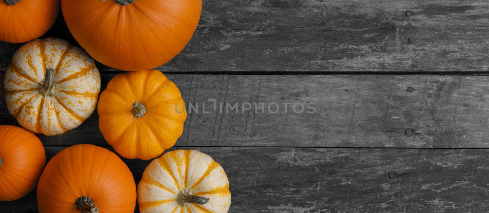 Autumn border of pumpkins on wood background with copy space