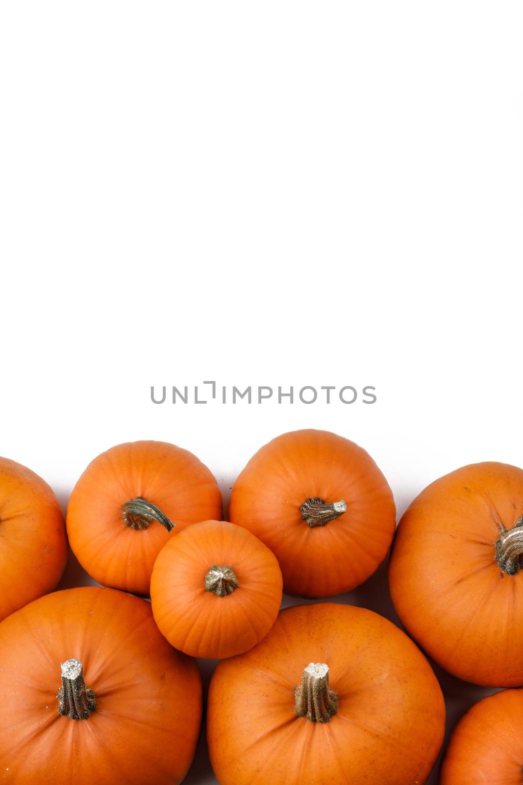 Heap of many orange pumpkins on white background , Halloween concept , copy space for text