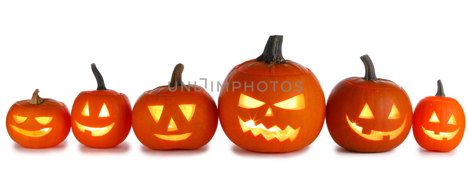 Five Halloween Pumpkins isolated on white background