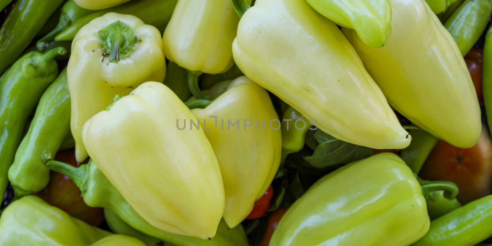 Freshly picked vegetables. Different types of peppers, tomatoes and more. Organic vegetables grown in the garden. Zavidovici, Bosnia and Herzegovina.