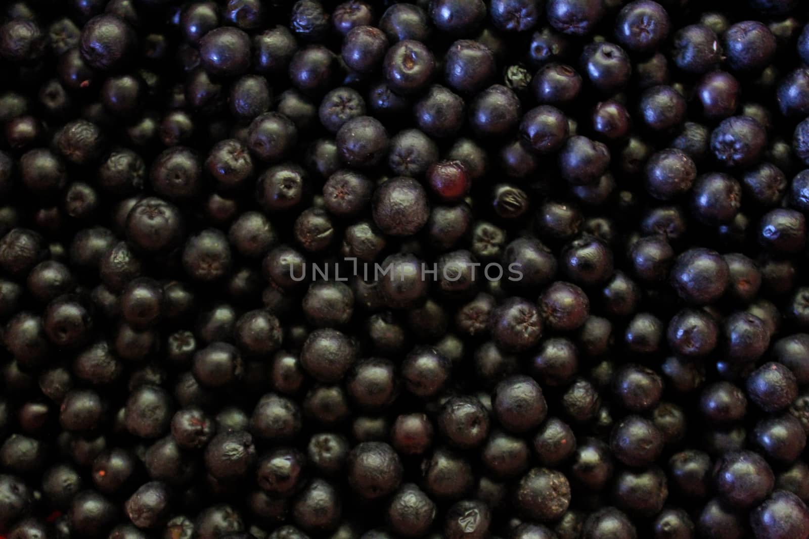Full frame of chokeberry berries. Aronia berries. by mahirrov