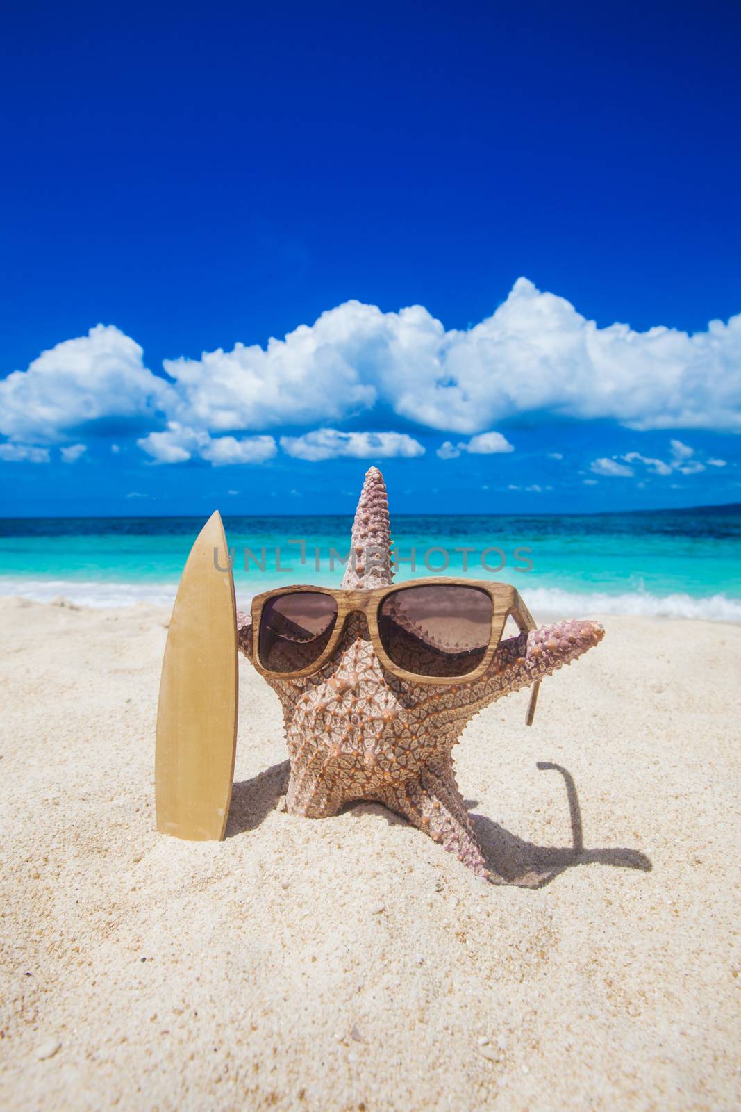 Starfish surfer on beach by Yellowj