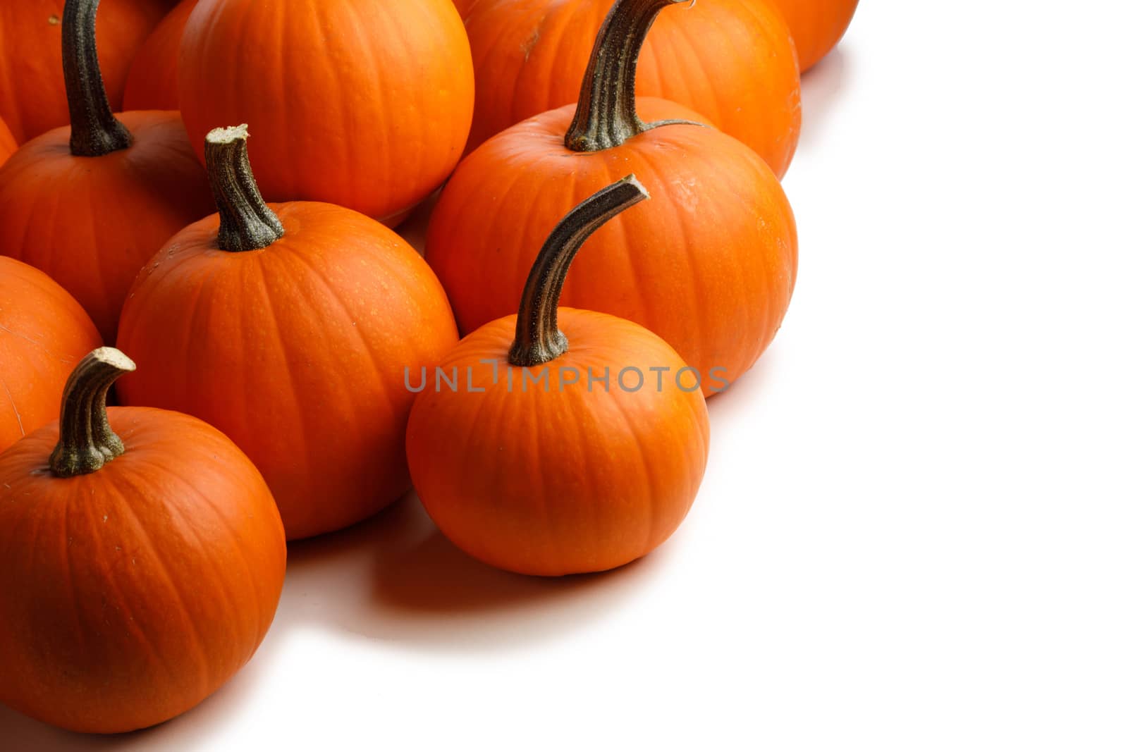 Heap of orange pumpkins by Yellowj