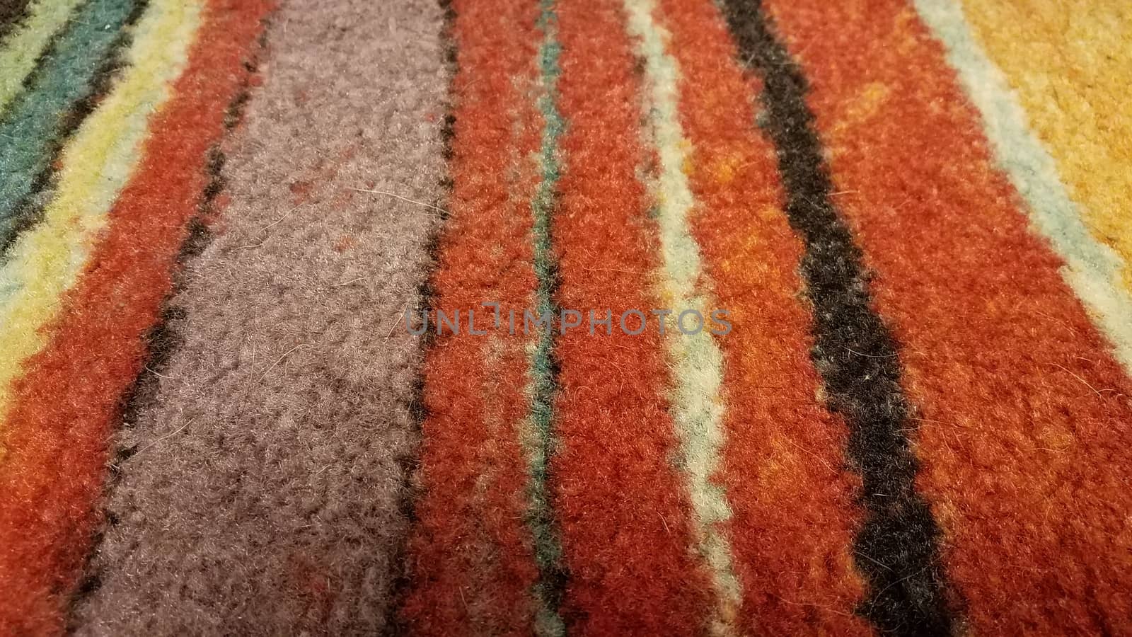 colorful carpet or rug with dog or cat hair