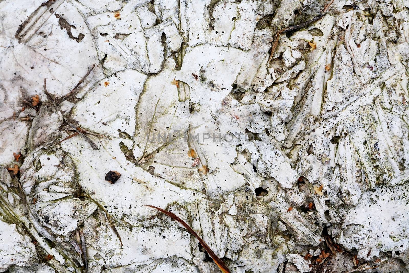 Nice abstract natural gray stones background