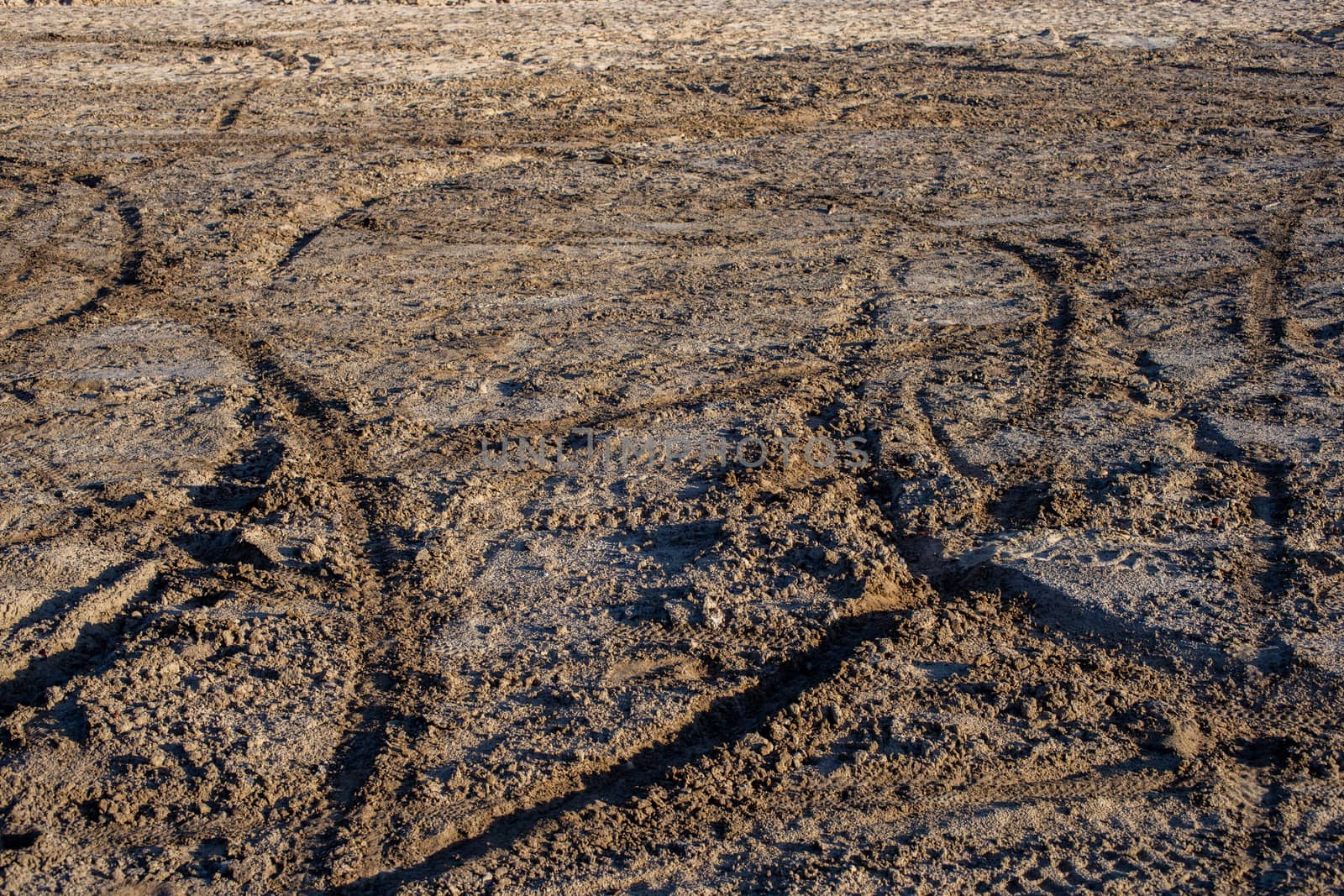 dry sand and mud ground with many dirt bike tracks at daylight.
