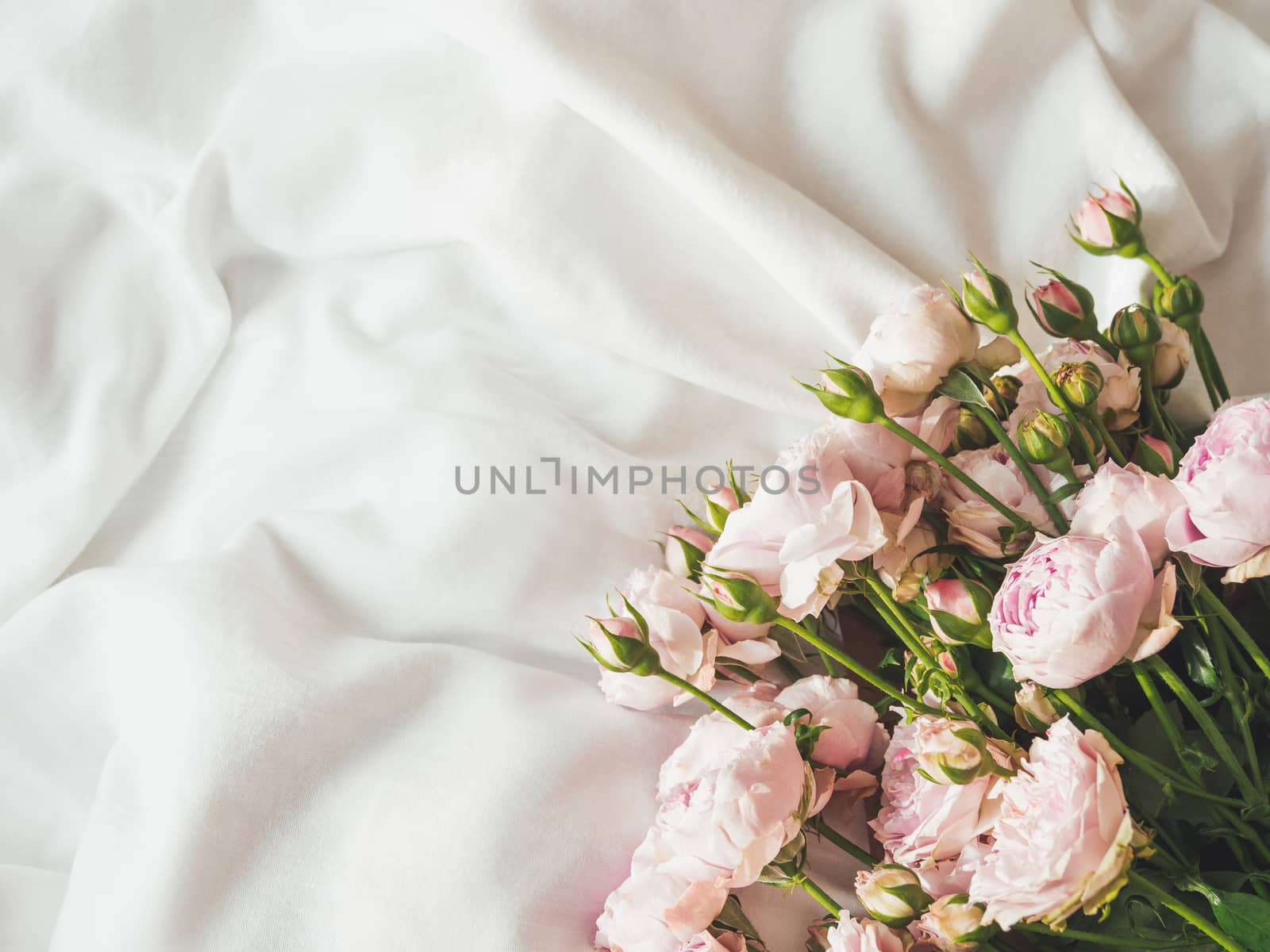 Bouquet of lilac colored roses on crumpled white textile. Top view, flat lay. Still life banner with copy space.