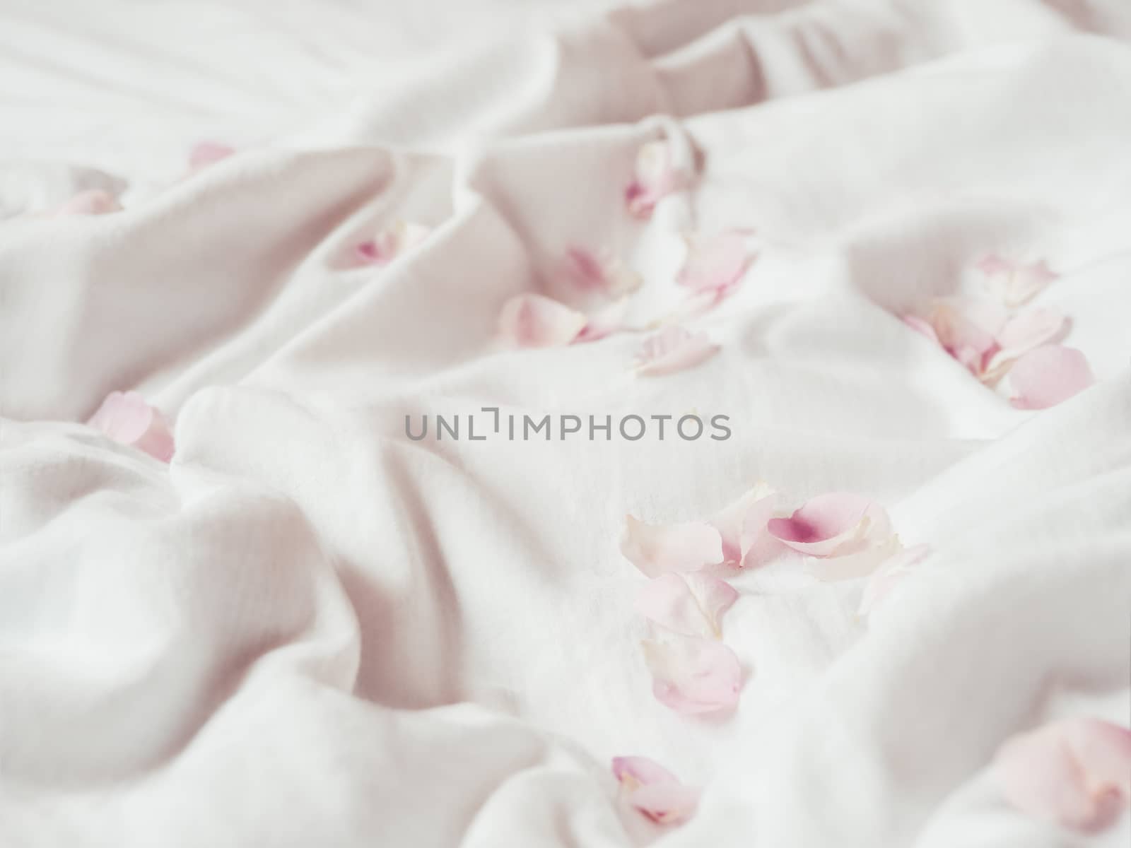 Pink rose petals on crumpled white fabric. Natural elegant decoration. Romantic background.