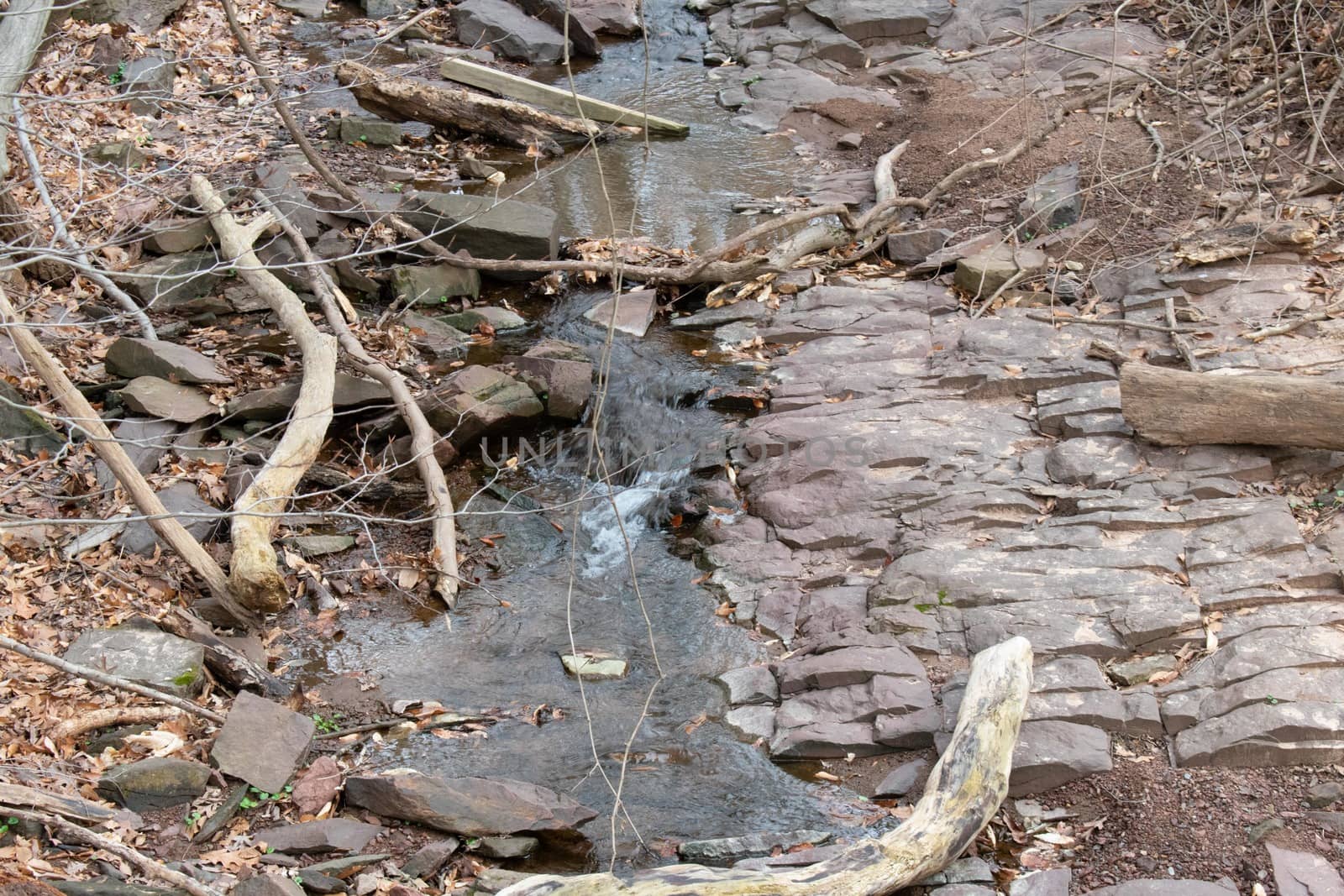 A Small and Shallow Creek Running Through Rocks and Dead Foliage in Winter