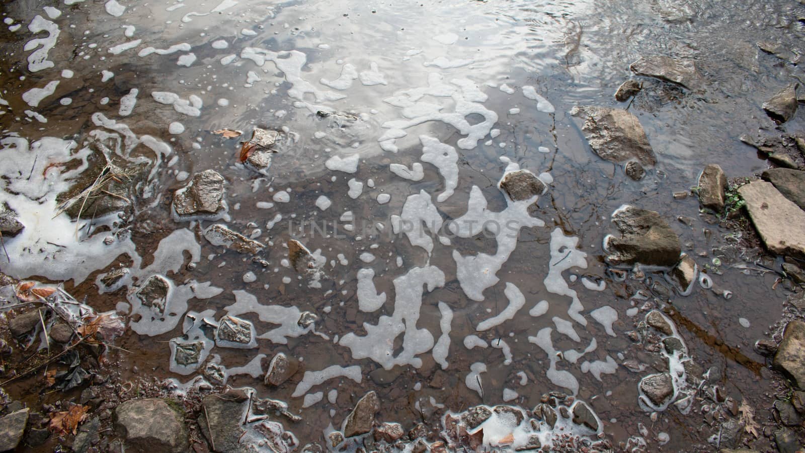 Foamy Water on the side of a river with rocks in the bottom of the frame