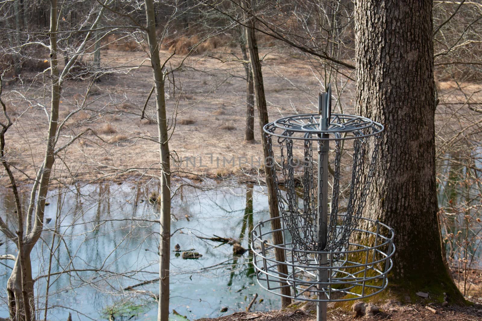 A Chain Frisbee Golf Hole in a Dead Winter Forest With a Pond Behind It