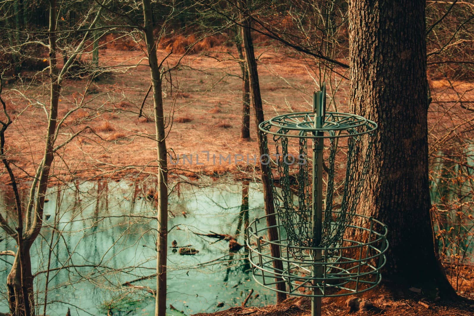 A Chain Frisbee Golf Hole in a Dead Winter Forest With a Pond Behind It