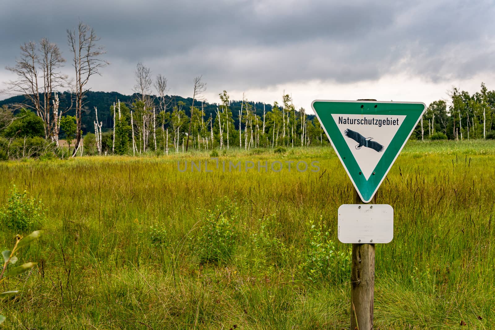 The beautiful nature reserve Wilhelmsdorf Pfrunger Ried in Upper Swabia near Ravensburg and Lake Constance