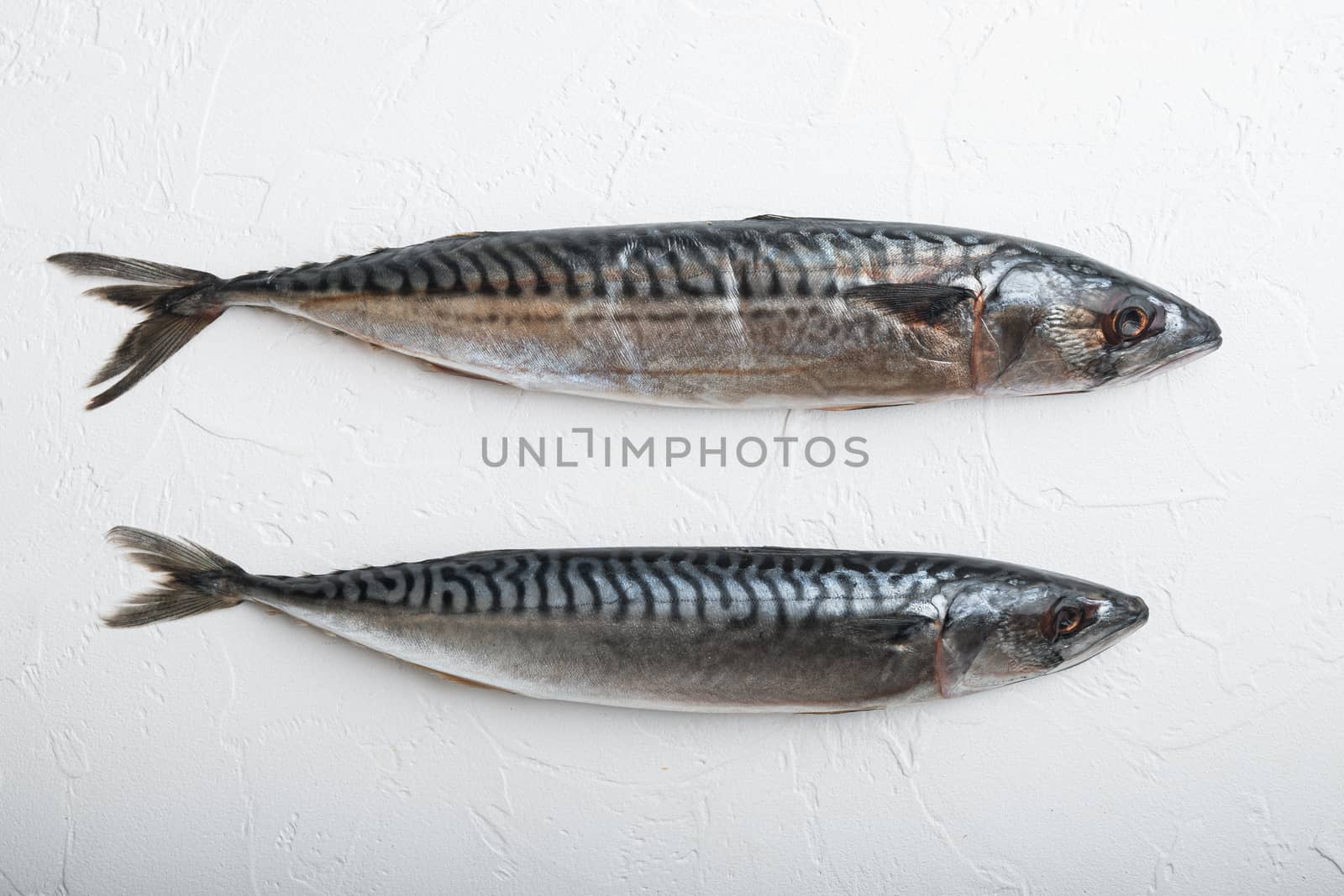Mackerel on white textured background, flat lay.