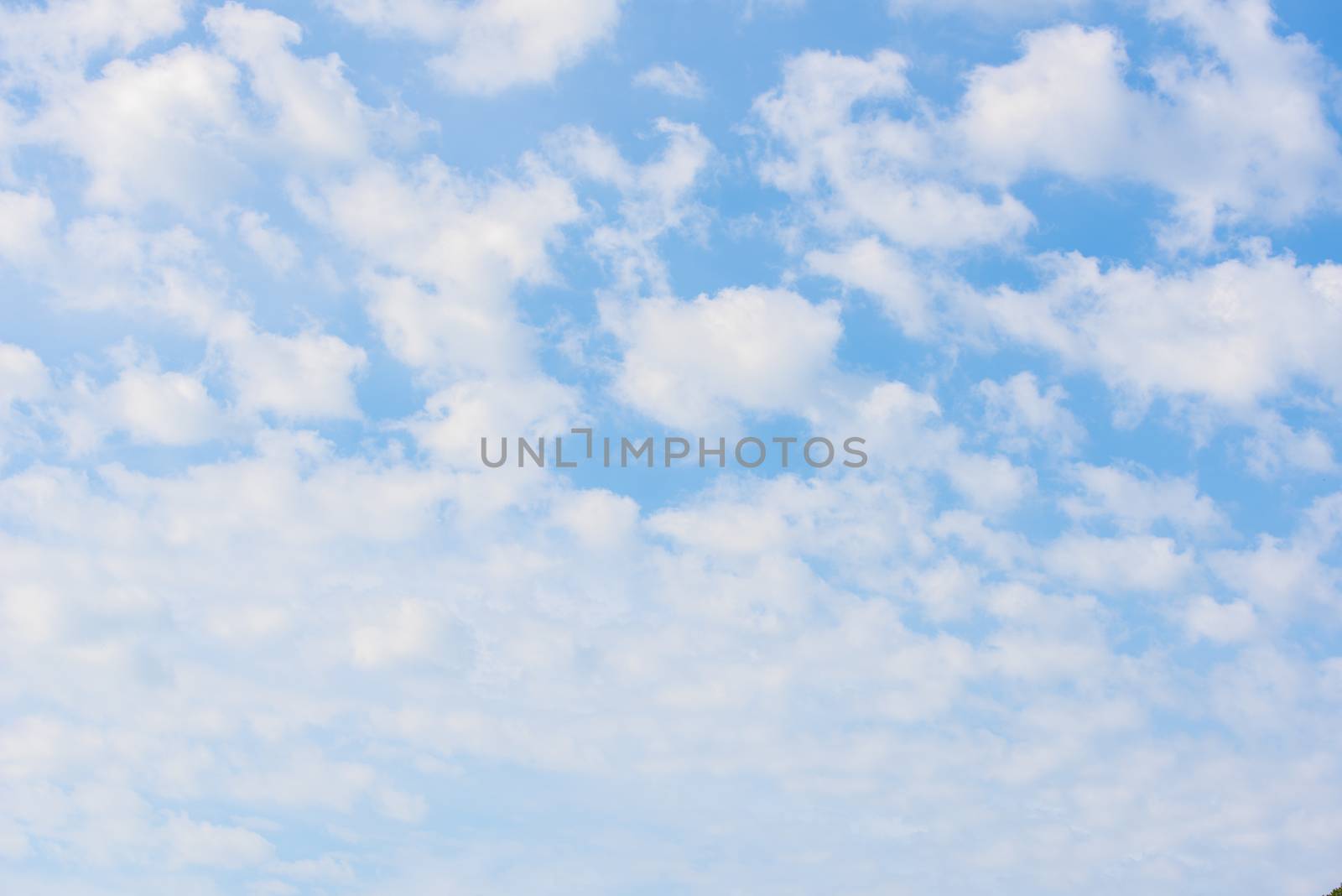 Beauty white cloud and blue sky by Visual-Content