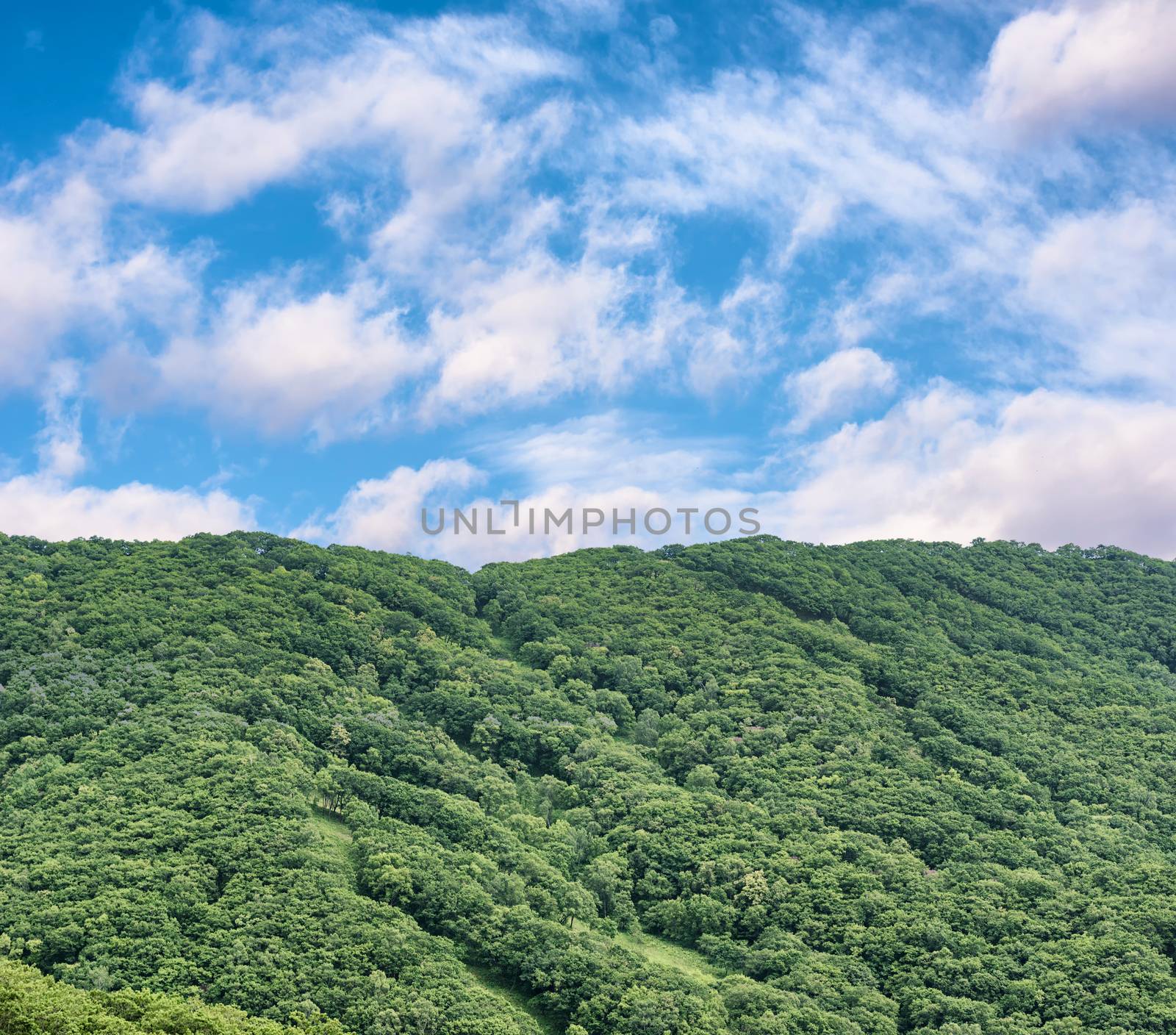 Green mountains in summer. Mountain landscape. Green hill