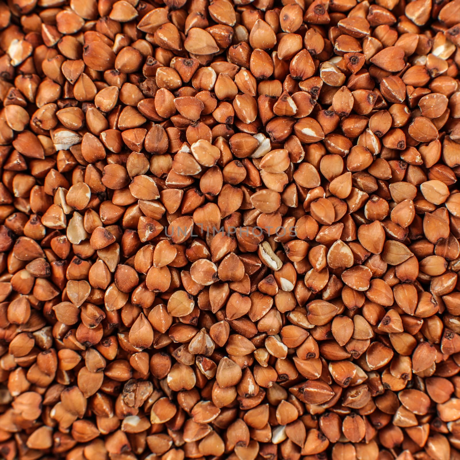 Closeup photo of buckwheat shot from above. by Ivanko