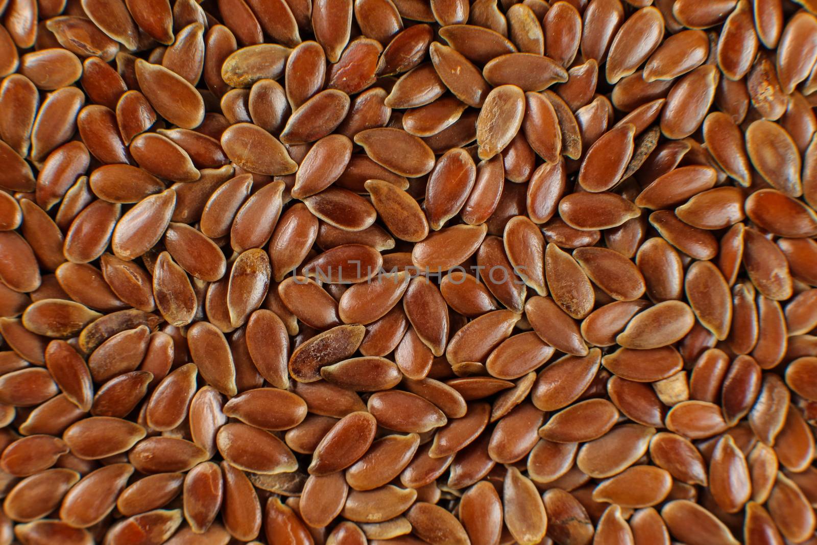 Closeup detail of flax seeds shot from above. by Ivanko