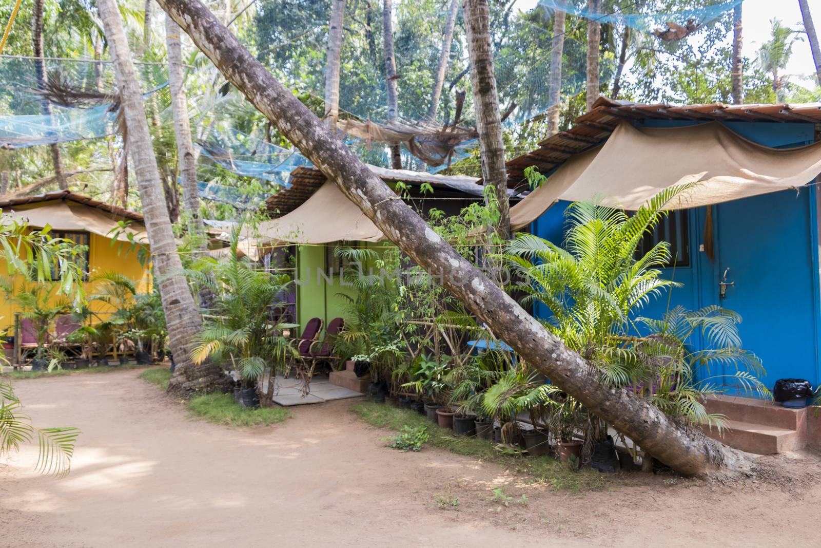 Beach huts in tropical India, Agonda Beach. Beautiful beach huts in the nature.