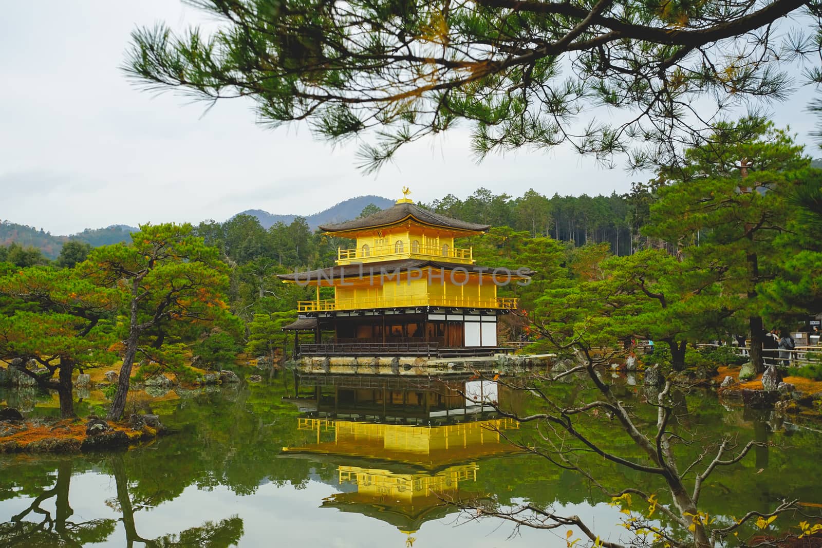 The famous Golden Pavilion in Kinkakuji temple in Kyoto, Japan.