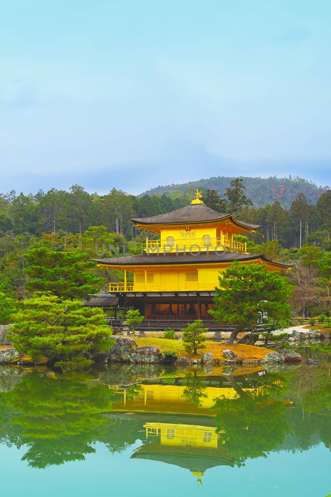 The famous Golden Pavilion in Kinkakuji temple in Kyoto, Japan.