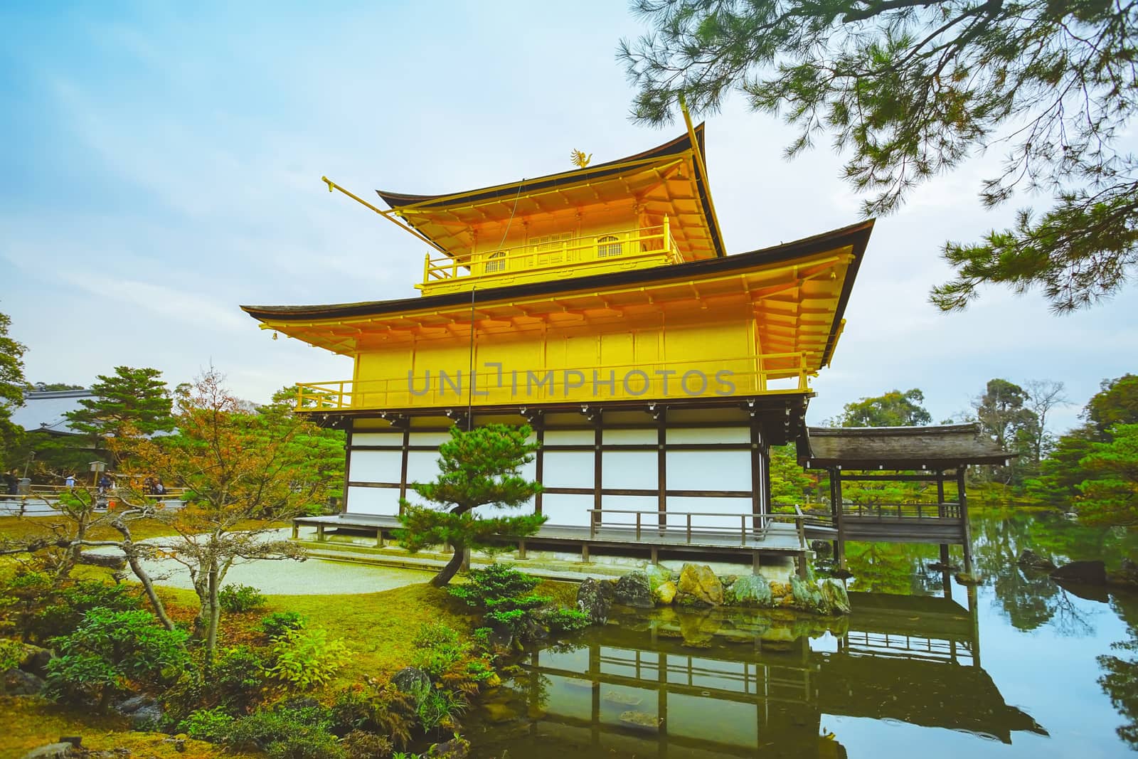 The famous Golden Pavilion in Kinkakuji temple in Kyoto, Japan.