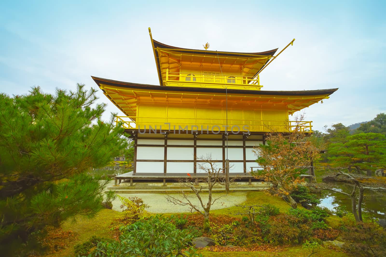 The famous Golden Pavilion in Kinkakuji temple in Kyoto, Japan.