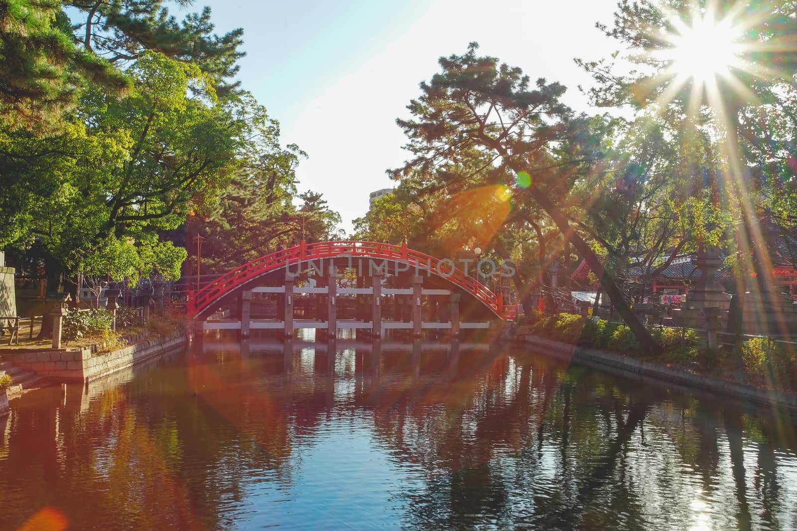 Osaka, Japan - December 15, 2019 : Beatiful Sorihashi bridge of Sumiyoshi Taisha Shrine, this is the famous travel destinations of Osaka city.