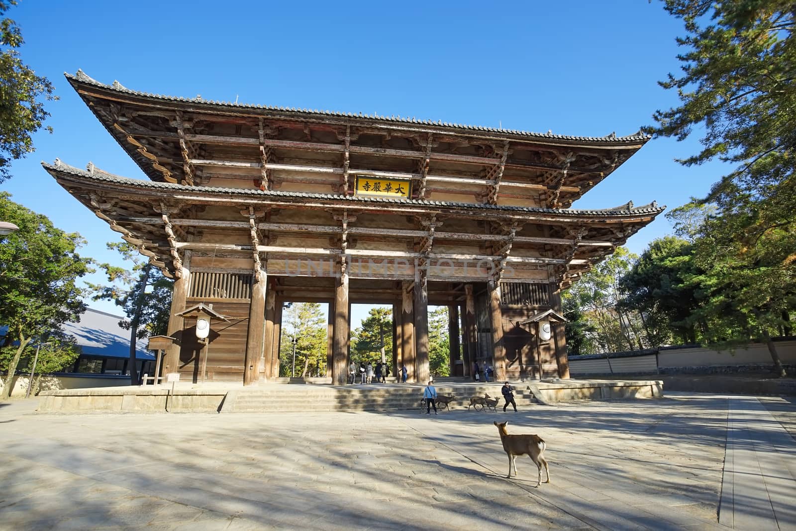 Nara, Japan - December 16, 2019 : The great Wooden gate Of Todaiji Temple, this is the most famous travel destinations of Nara city in Kansai area of Japan and this place has a lot of deers in the park.