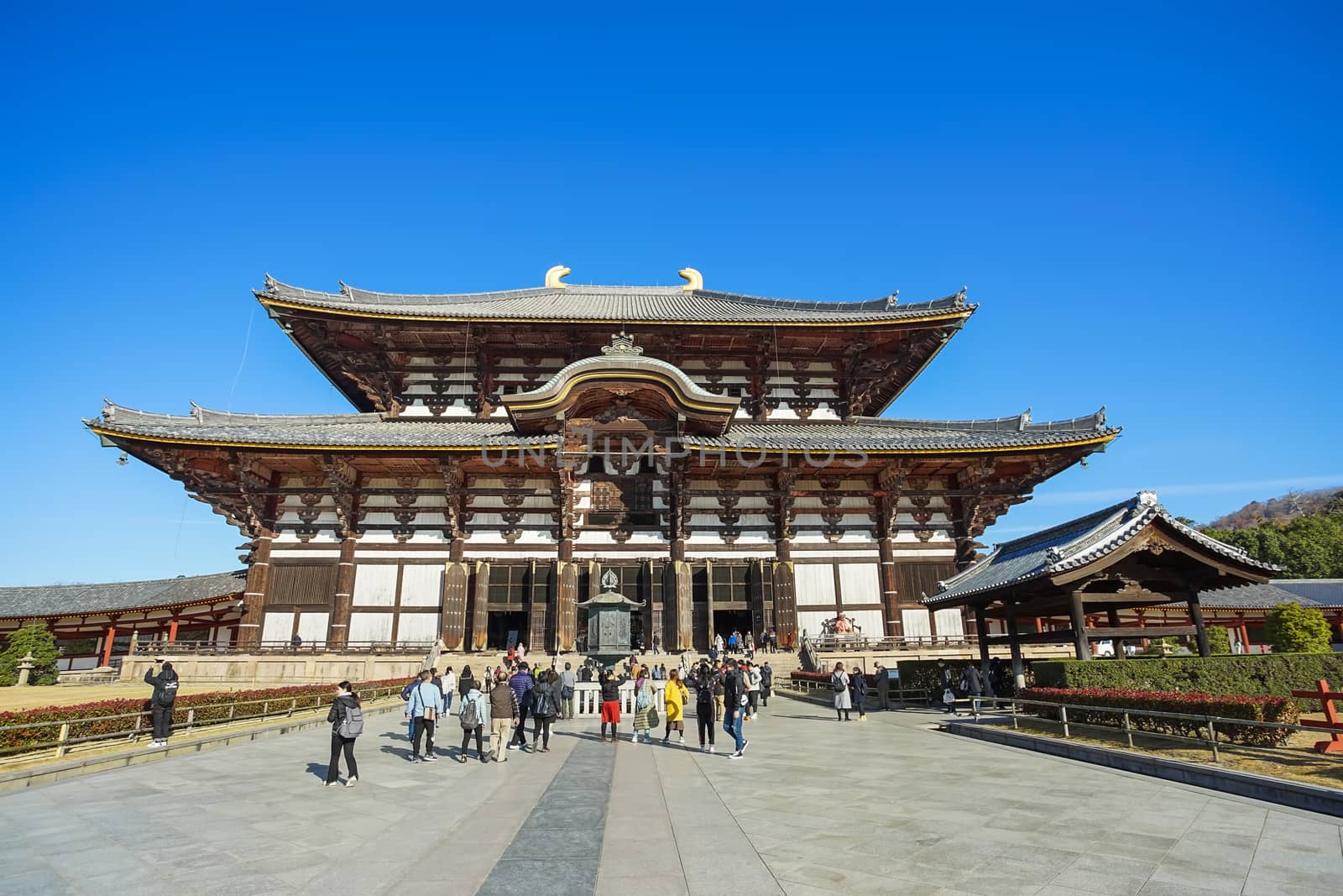 Nara, Japan - December 16, 2019 : The greatest wooden building in the world Todaiji Temple, this is the most famous travel destinations of Nara city in Kansai area of Japan and this place has a lot of deers in the park.